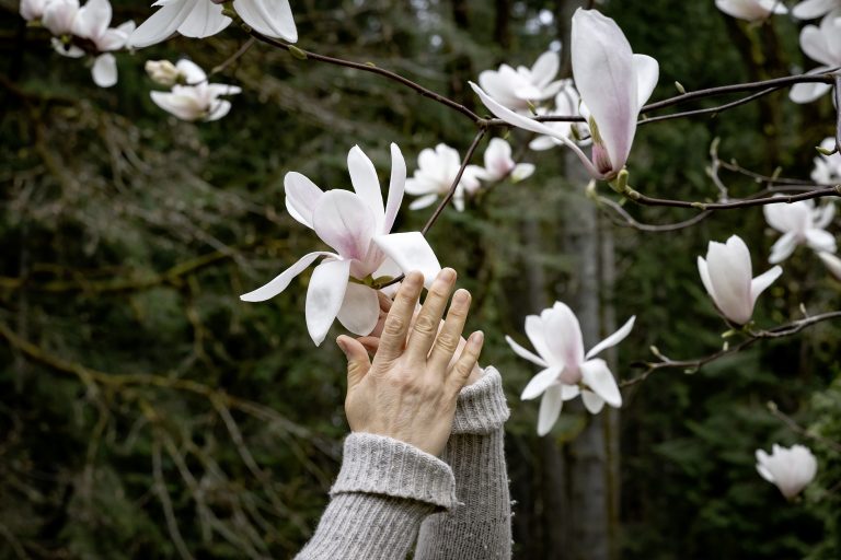 Buena Vida Counseling